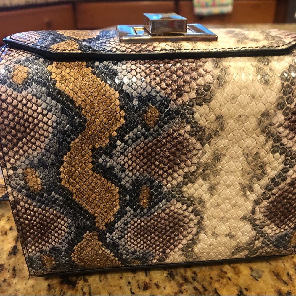 Steve Madden Multi-Color Skin Purse